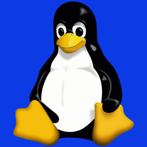 Пингвин Tux - эмблема Линукс