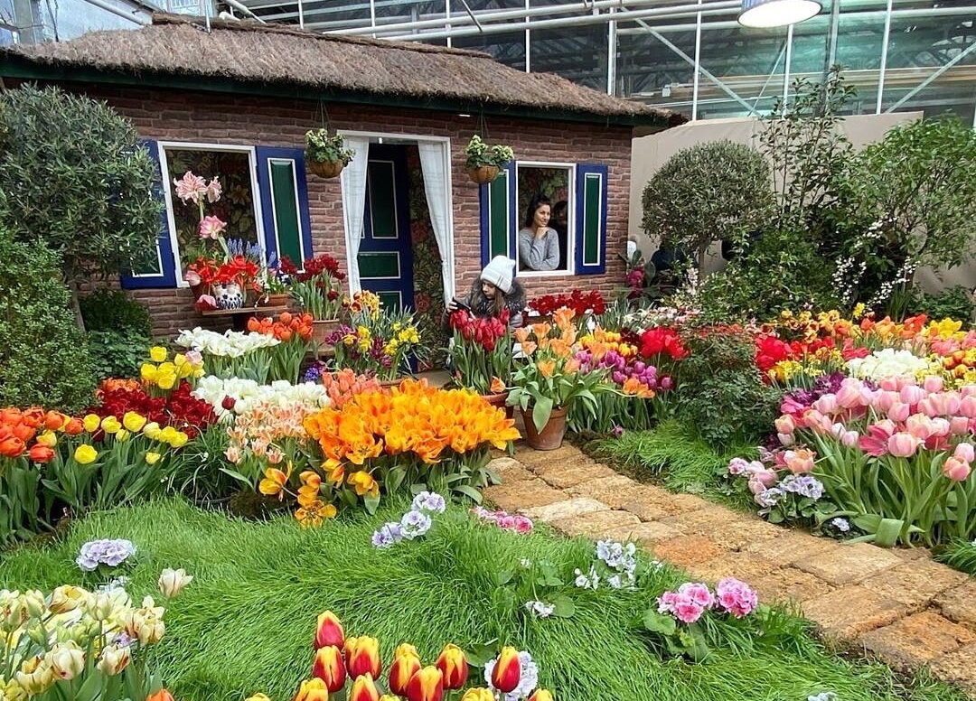 красивые локации в аптекарском огороде  (Источник kudamoscow.ru)