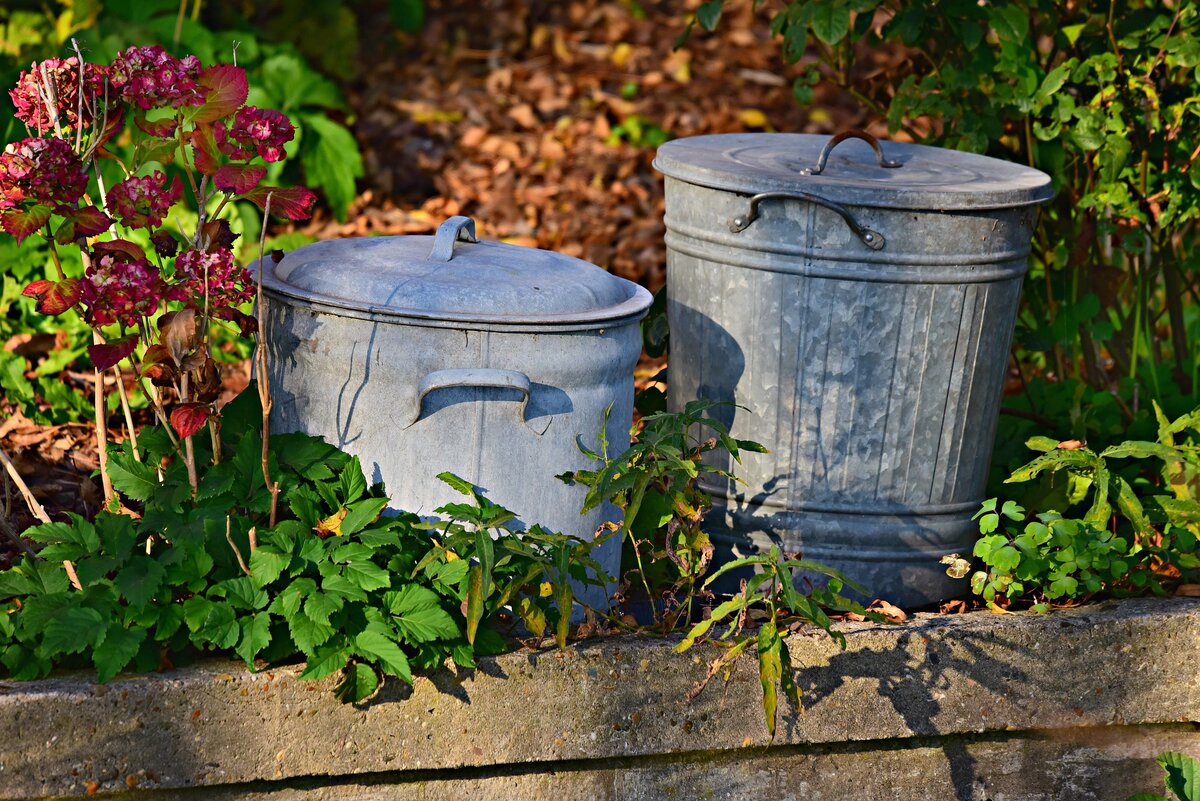 2. Image by Mabel Amber from Pixabay 