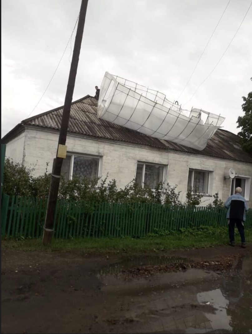 Погода знаменское на две недели. Знаменка Омская область.