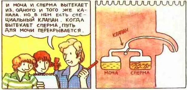 Откуда берутся дети?!