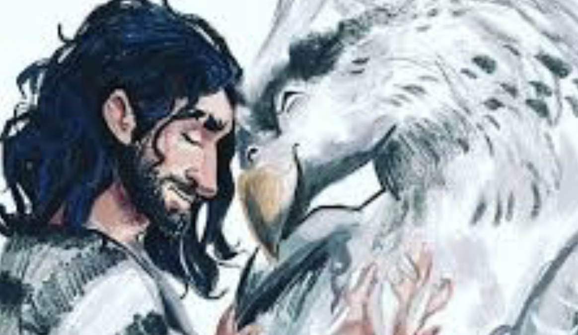 Фан-арт www.picuki.com