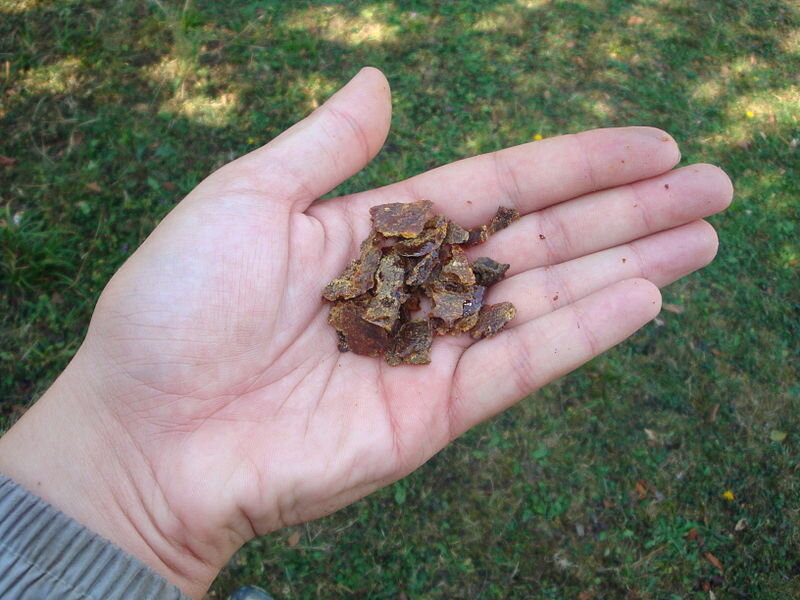 Фото прополиса. Источник: https://commons.wikimedia.org