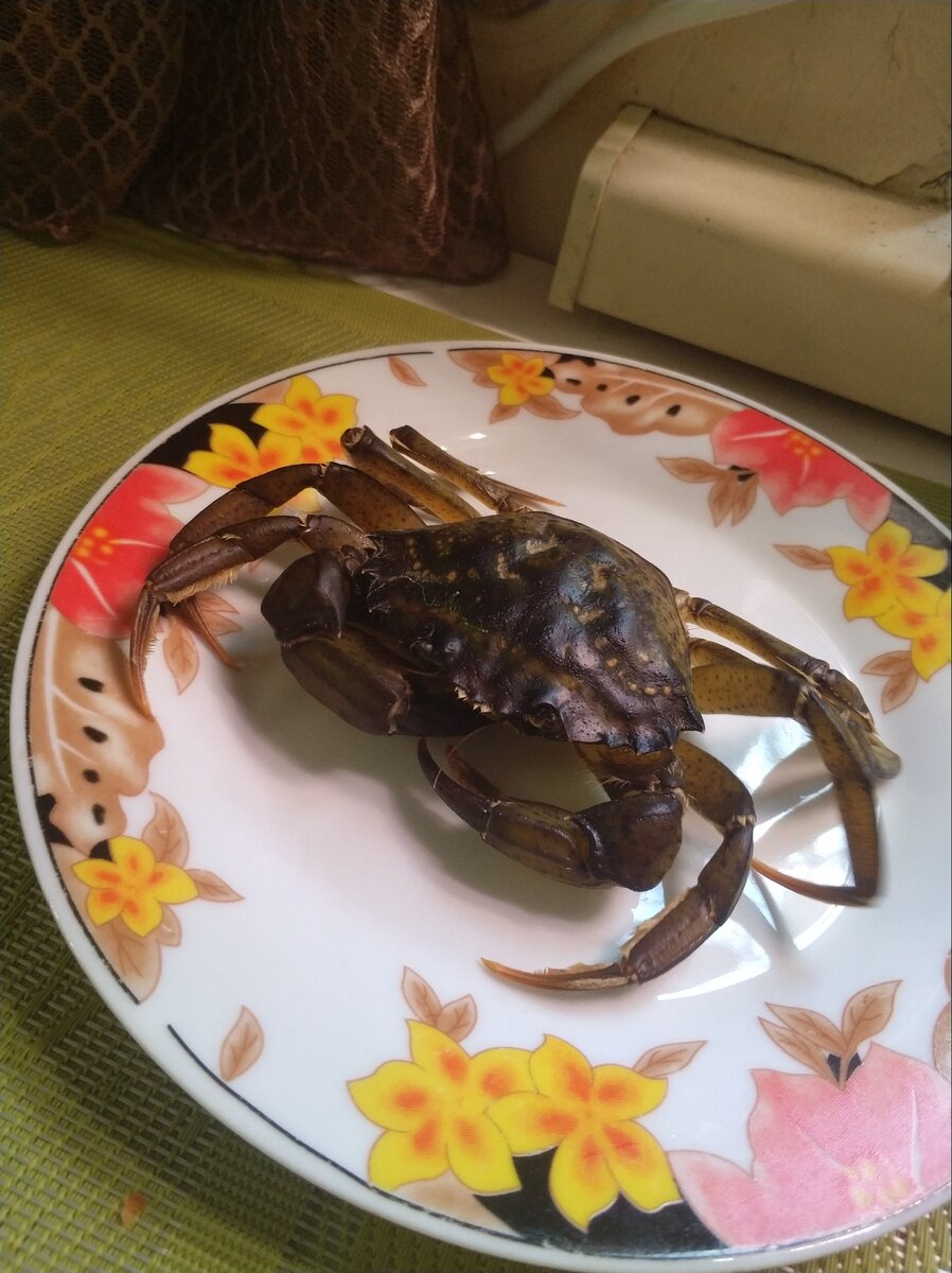 ... с каемочкой..