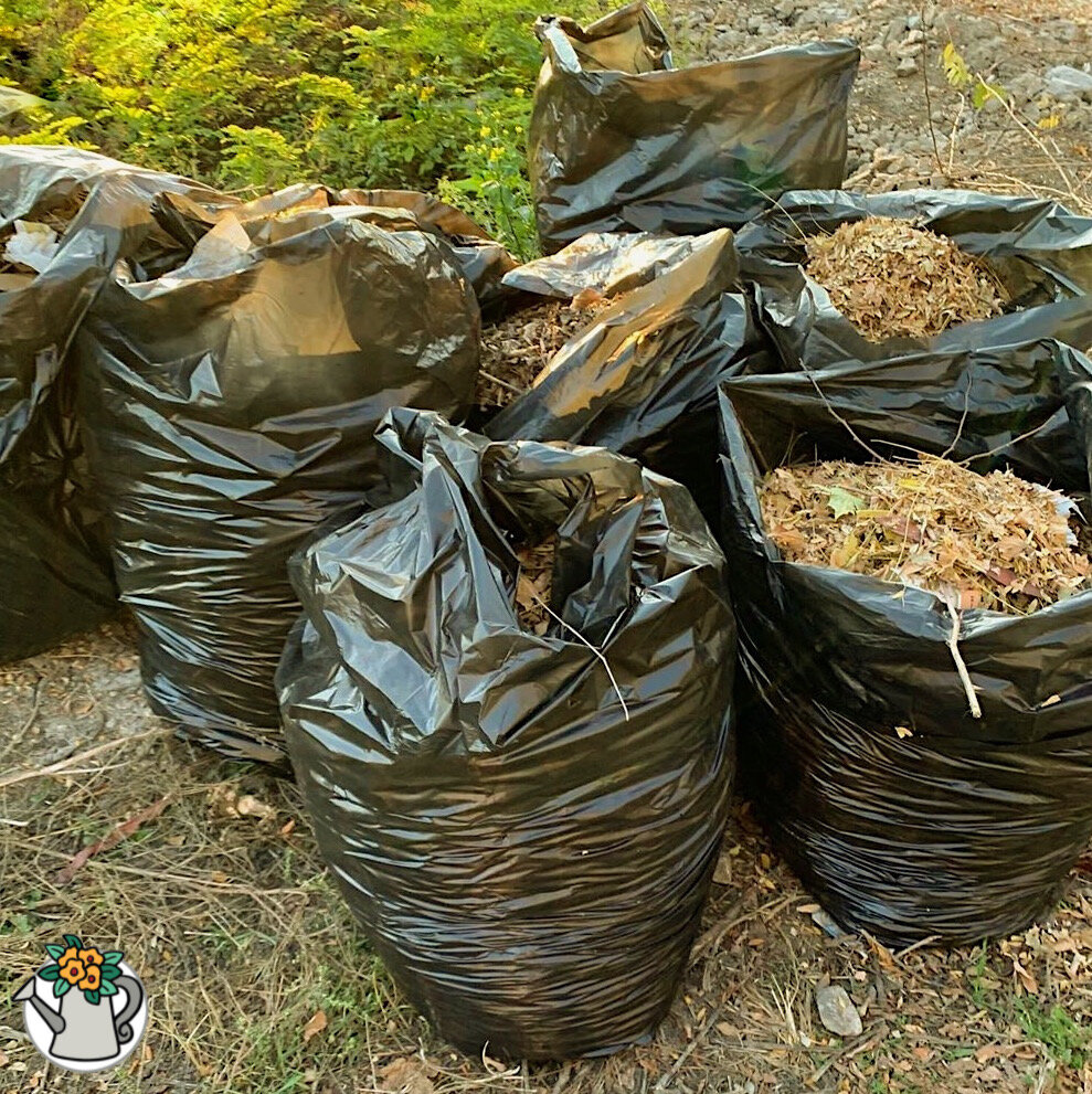 Компост в мешках для мусора