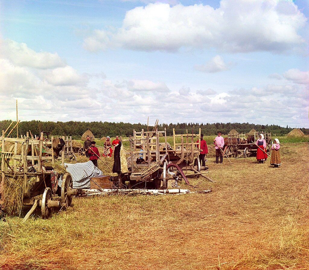 Новгородская  губерния