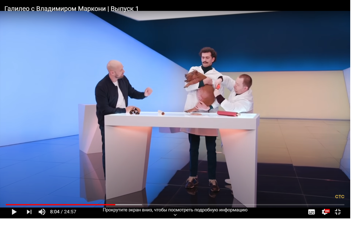 Осторожно: тупицы