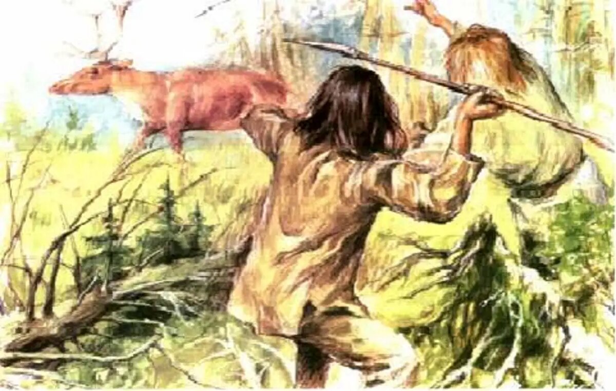 "Кажется, сегодня удастся пообедать"