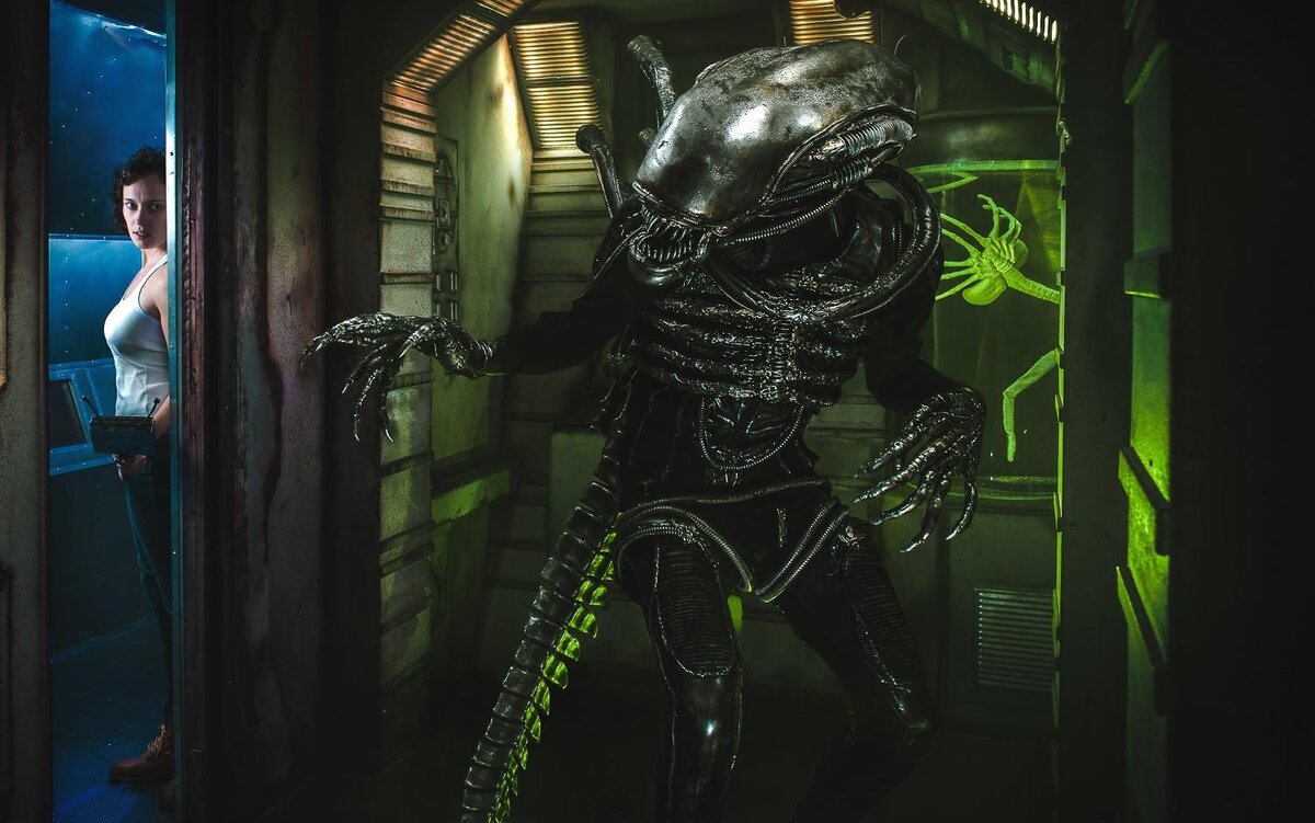 Изображение взято из открытых источников.