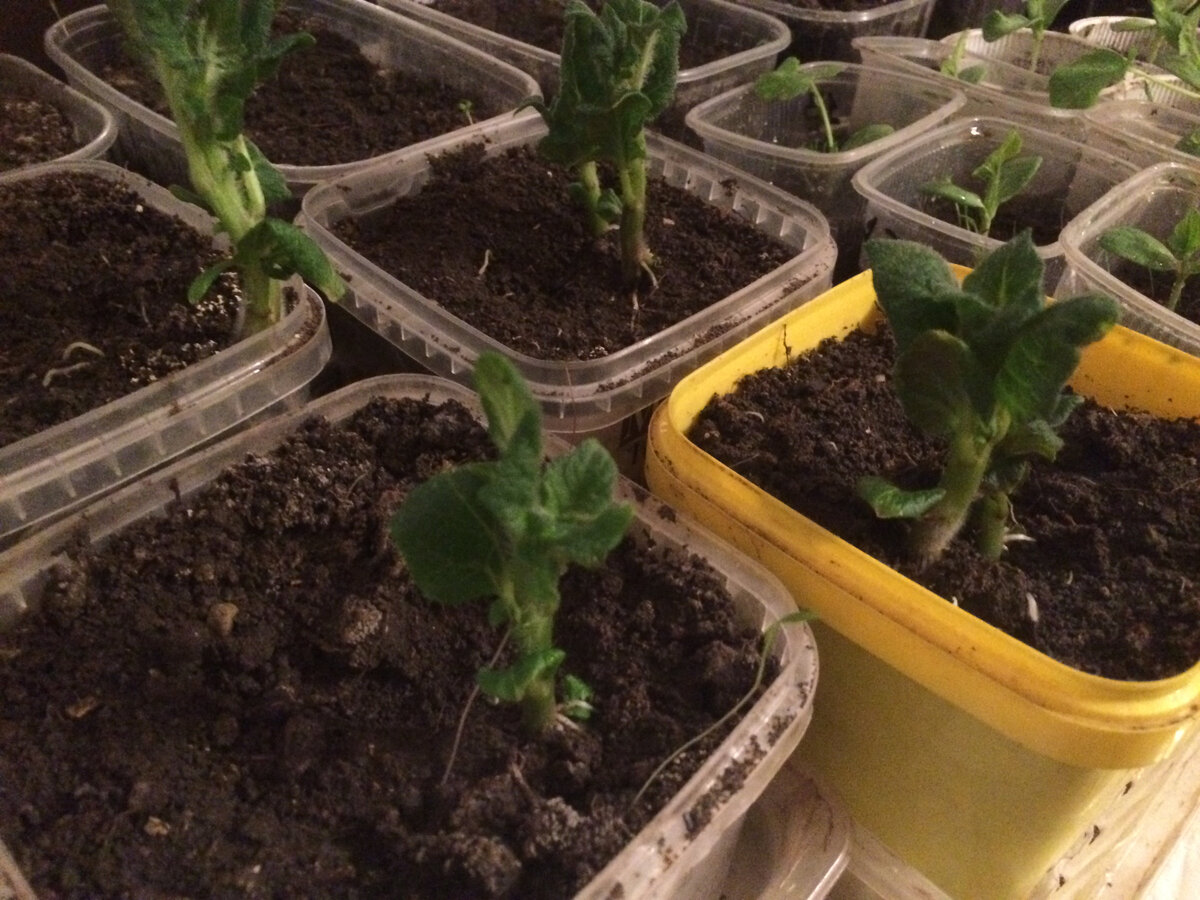 фото от 29 марта