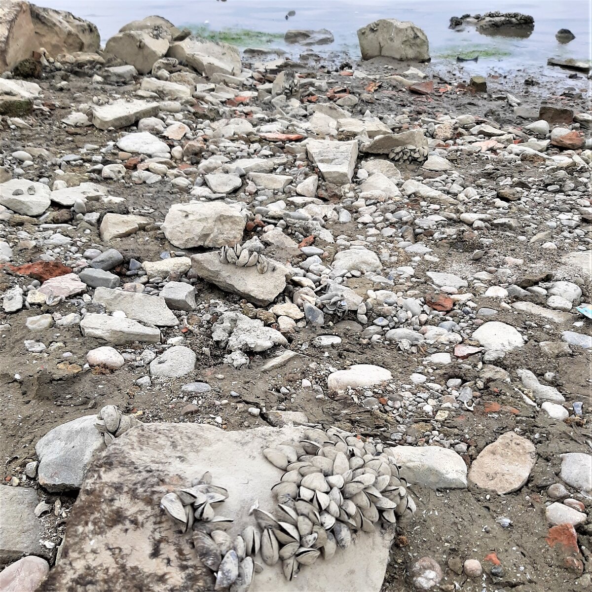 Страшно ли сейчас в крыму. Наполнение крымских водохранилищ сегодня. Опасно ли сейчас в Крыму. Проблемы с водой в Крыму. Крым сейчас