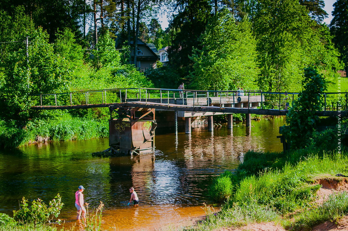 Вырица карта с улицами и домами. Прогноз на месяц вырица. Вырица сиверский осенью. Пляж шудибиль в вырице. Вырица садоводство радуга фото.