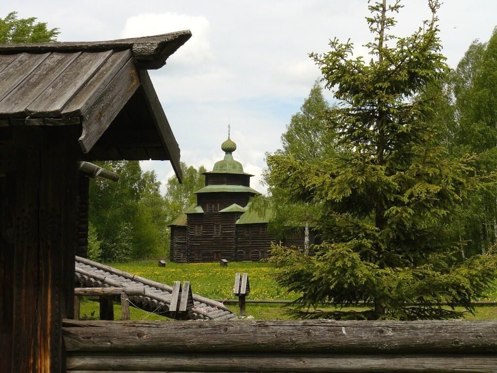 Экспонаты 