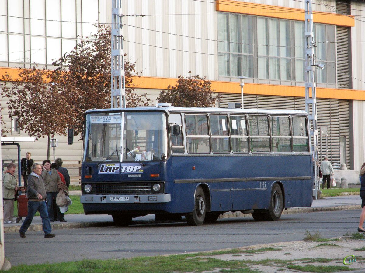 135 иваново. Ikarus 260 Будапешт. Икарус 260. Икарус 260 Будапешт синий. Ikarus турист 260