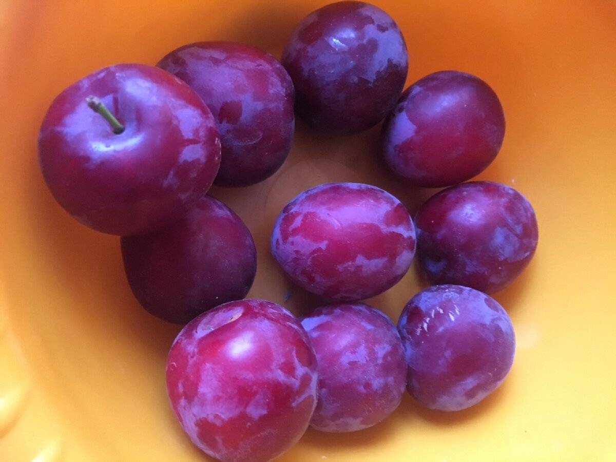 Слива с дерева вкус огонь 