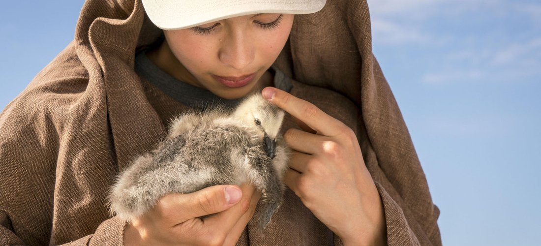 кадр из фильма "Расправь крылья". фото взято из открытых источников.