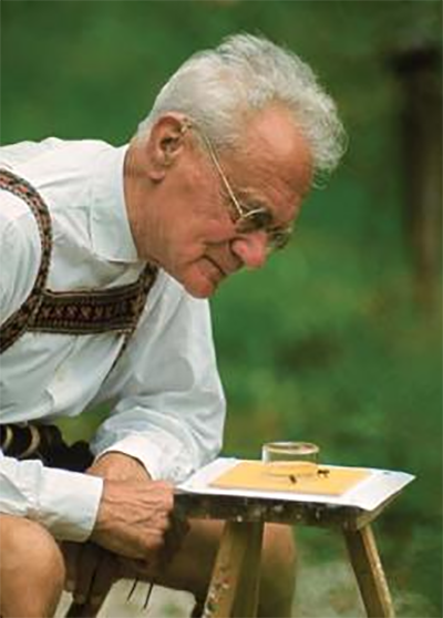 Карл фон Фриш за работой. За разгадку танца пчел он получил Нобелевскую премию