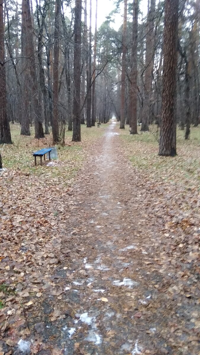 Ни одного человека, несмотря на воскресенье