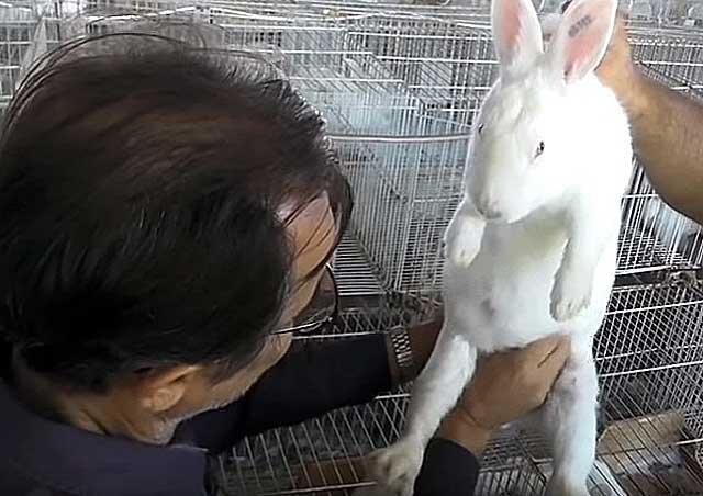 Основные факторы, приводящие к смертельному исходу