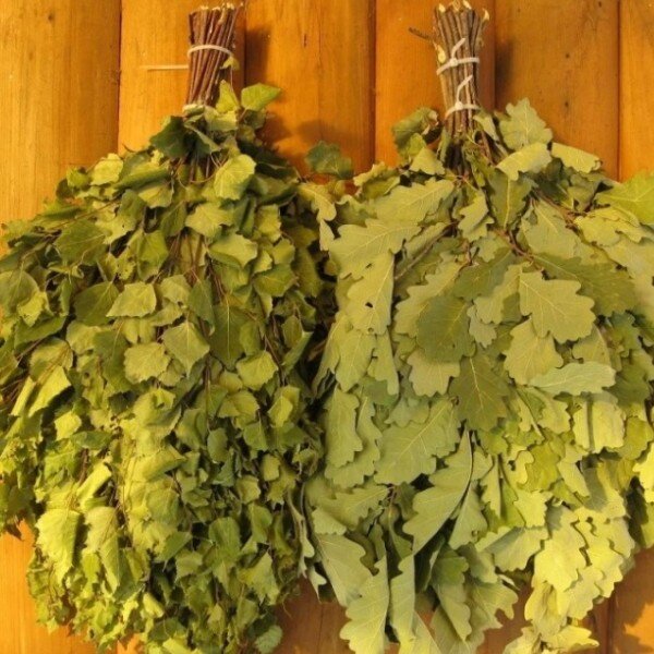 Берёзовый и дубовый веники