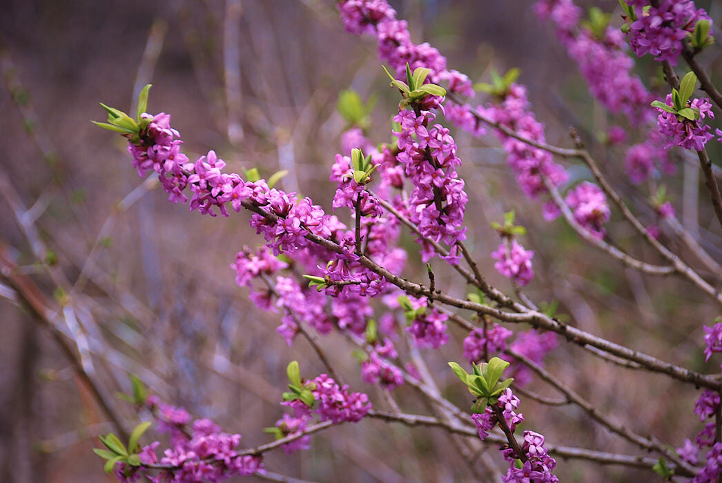 Фото из интернета.