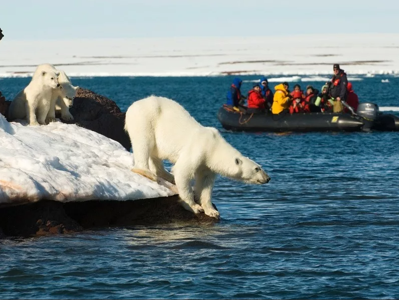 Большой Арктический заповедник – самый большой заповедник в России. Его площадь – 42 тысячи квадратных километров. Он находится в Красноярском крае.