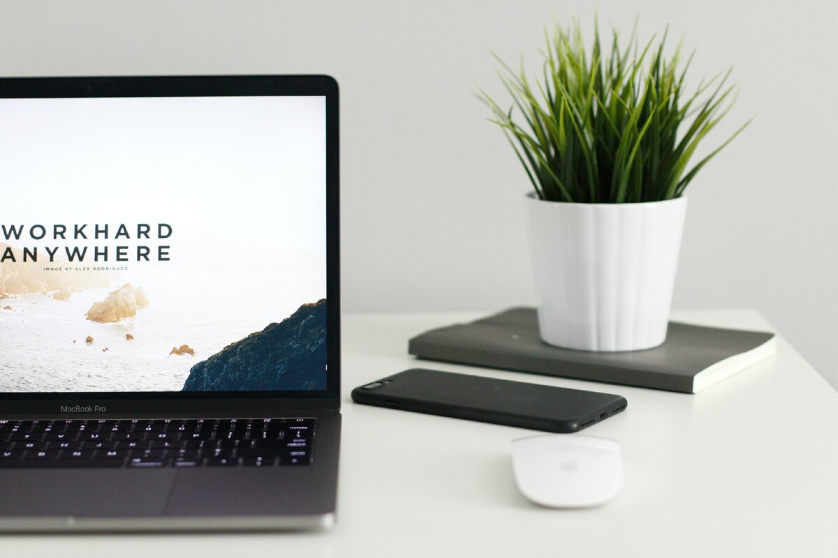 Источник: unsplash.com