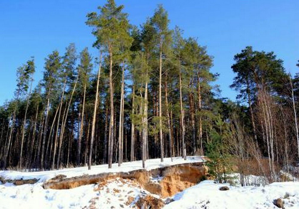 Моховые горы нижний новгород фото