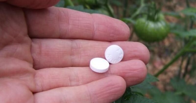 Аспирин. Иллюстрация для статьи используется с сайта domstrousam.ru