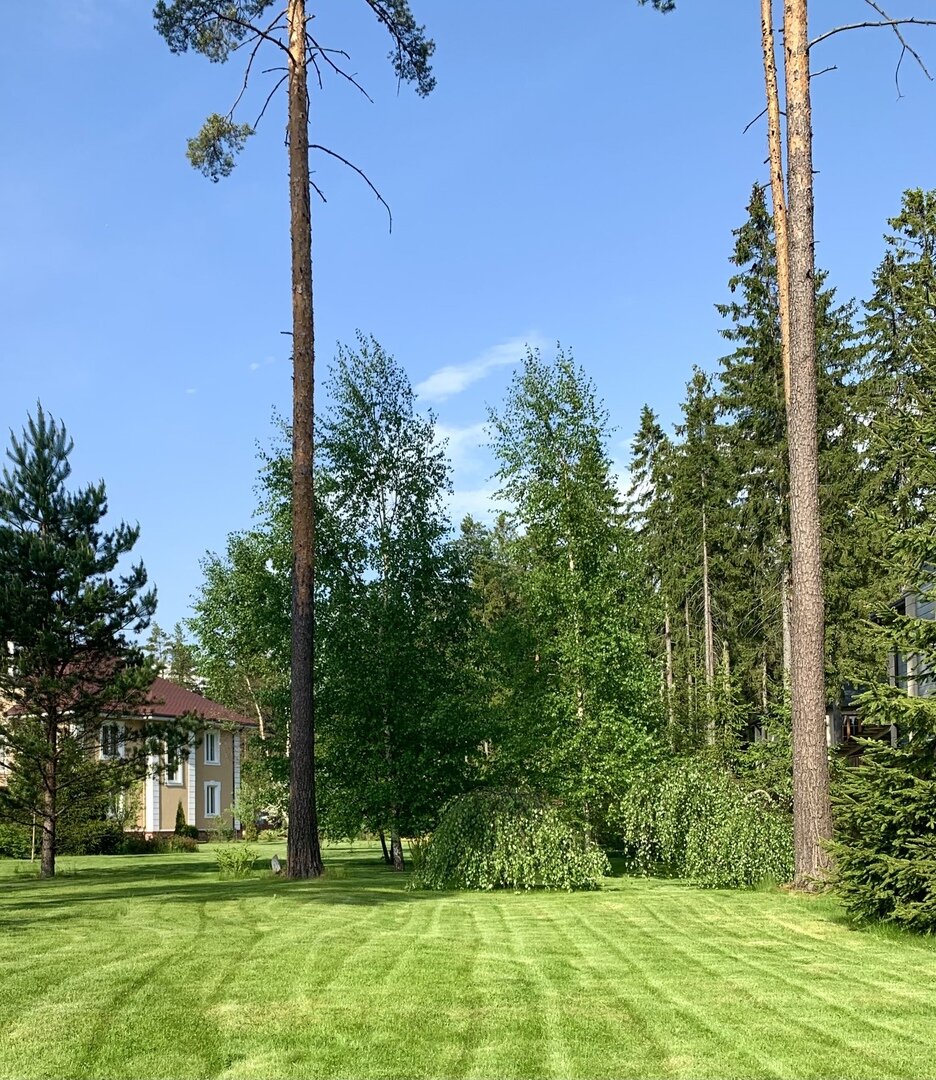 Так выглядит мой участок на сегодняшний день (фотография сделана летом)