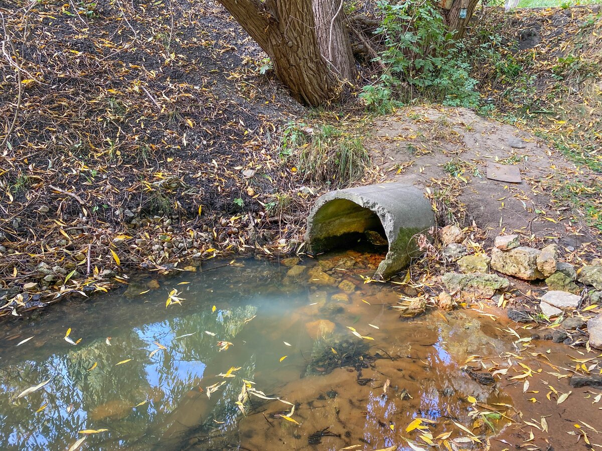 Платник в пос. Кишкино