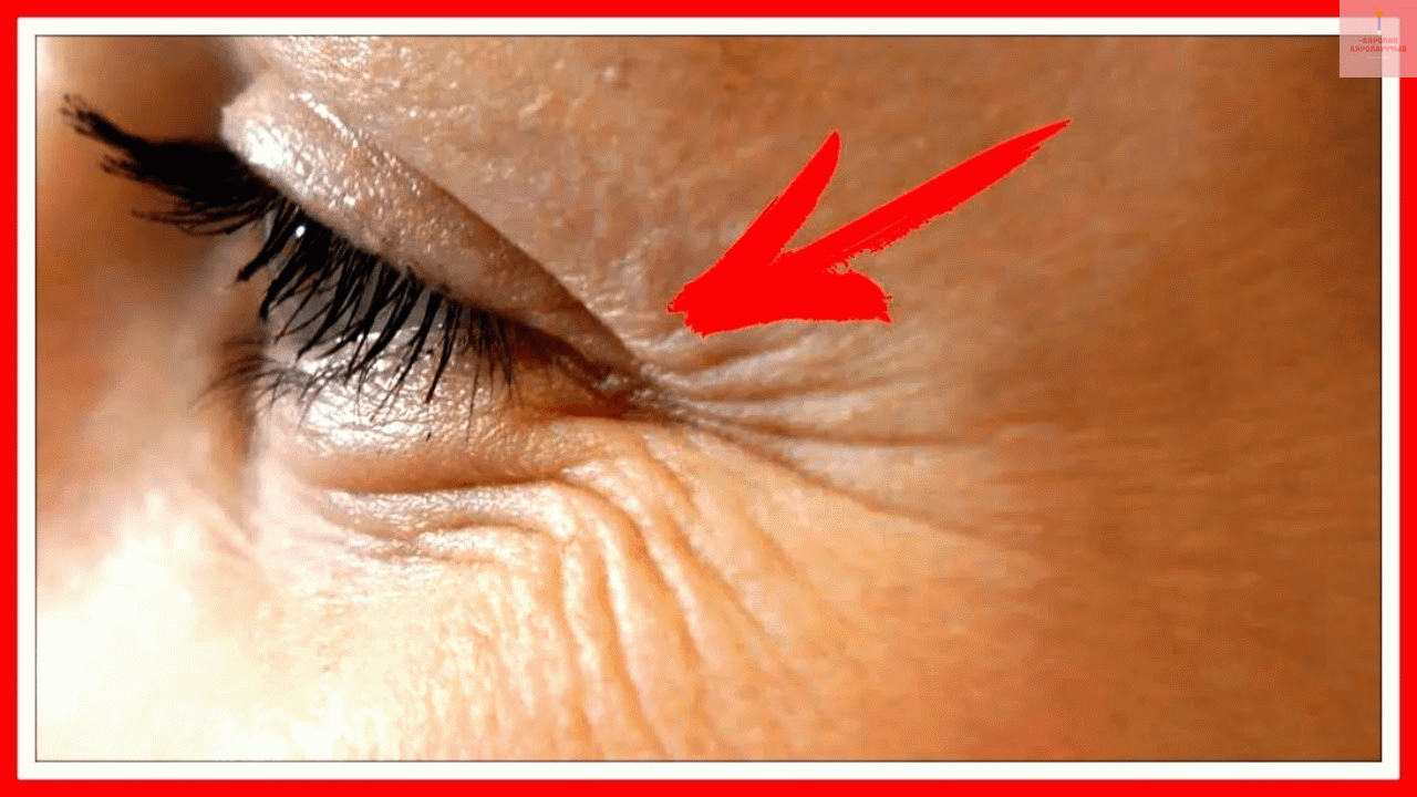 Подпишитесь на канал и поставьте лайк! Вы так поможете развитию канала! Заранее спасибо!