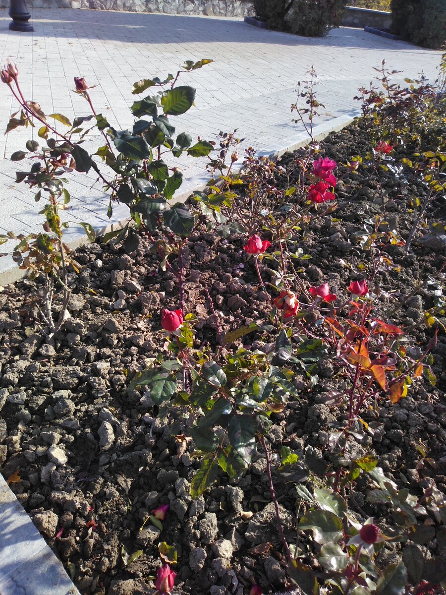 личное фото