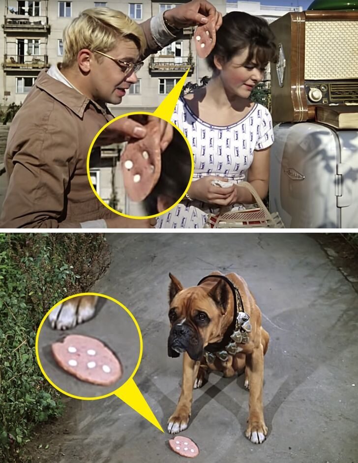 
Шурик «превращает» «Докторскую» колбасу в «Любительскую», вставляя в ломтик 4 таблетки снотворного. Однако, когда он кидает его собаке, в нем оказывается уже 5 таблеток.