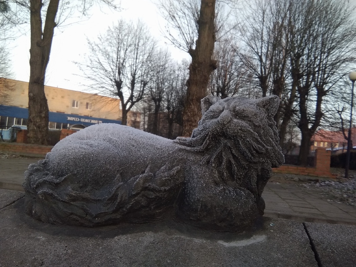 Котики. Тизер. Найдите остальных сами)