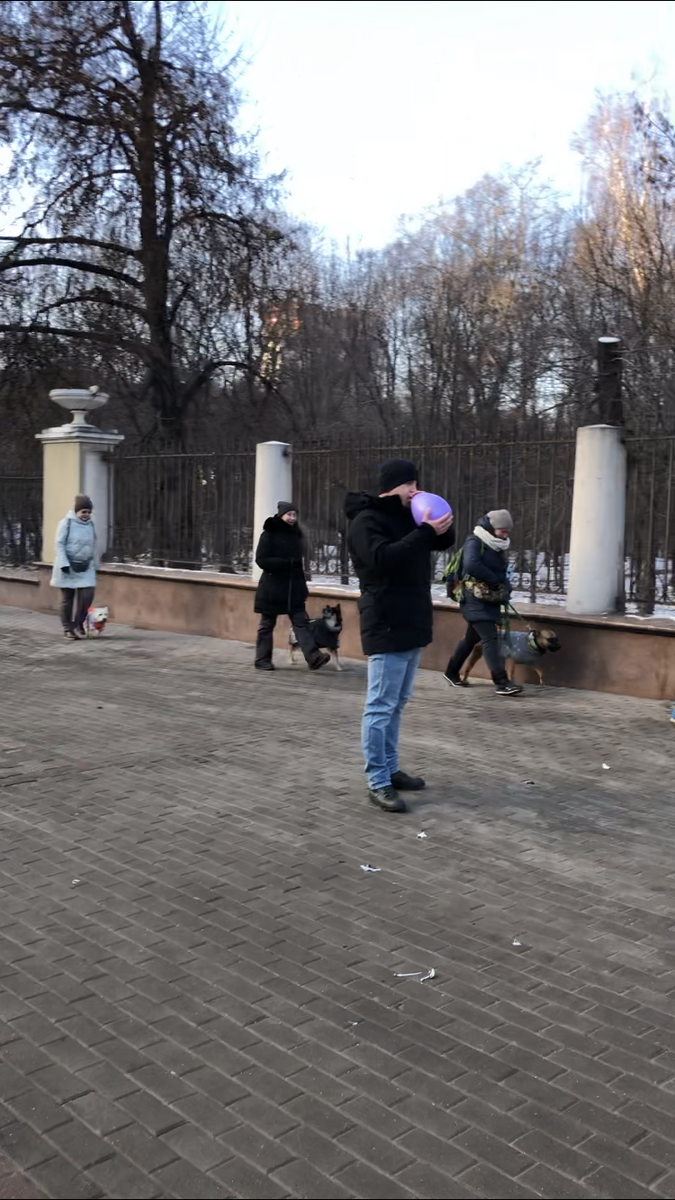 Звуки повсюду, от них не убережешься. Хозяин должен приучить питомца к тому, что они не опасны