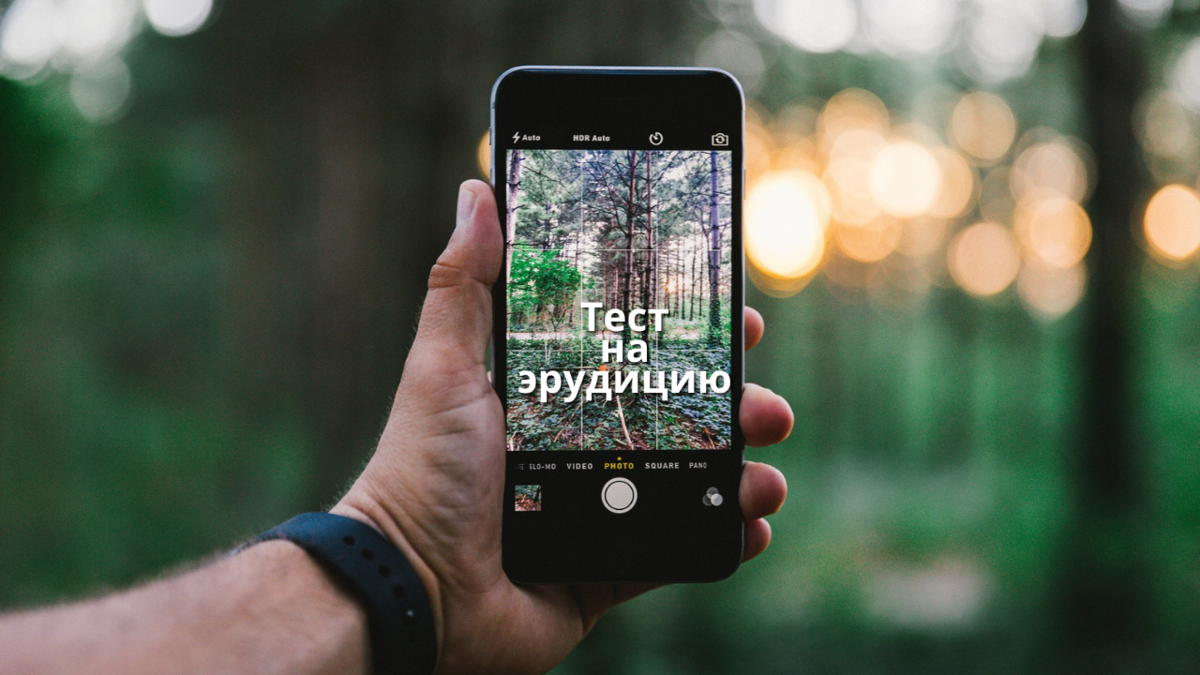 фото:pixabay.com