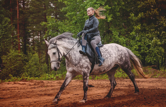 Почему в старину женщины ездили на лошади боком, а не прямо