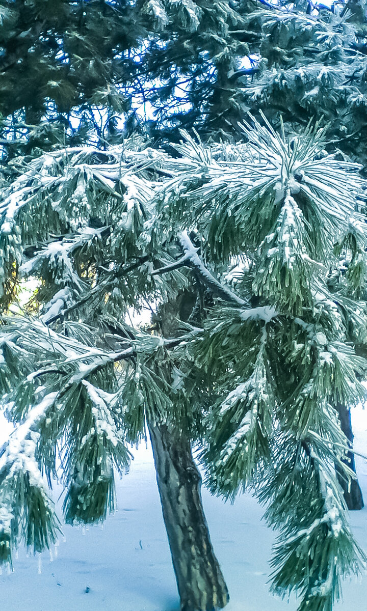 Автор изображения: Татьяна Федорова (https://www.dreamstime.com/anatia_info)