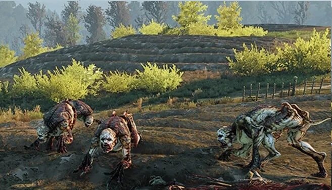 Кажется эти гули заметили наблюдателя и теперь хотят приблизиться