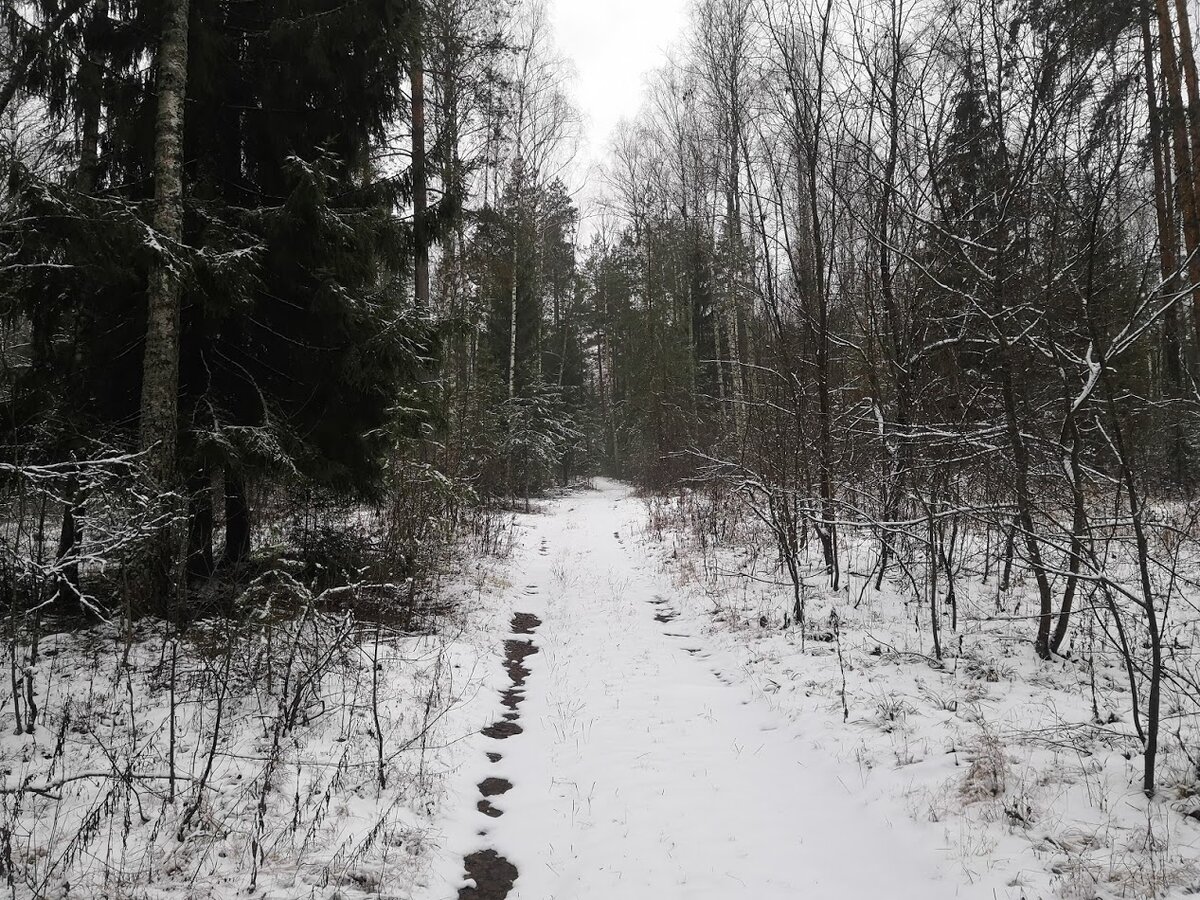 Картинка для обложки :)