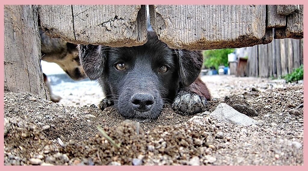 Вселенская грусть