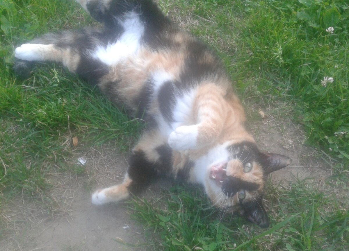 Фото предоставлено хозяйкой.