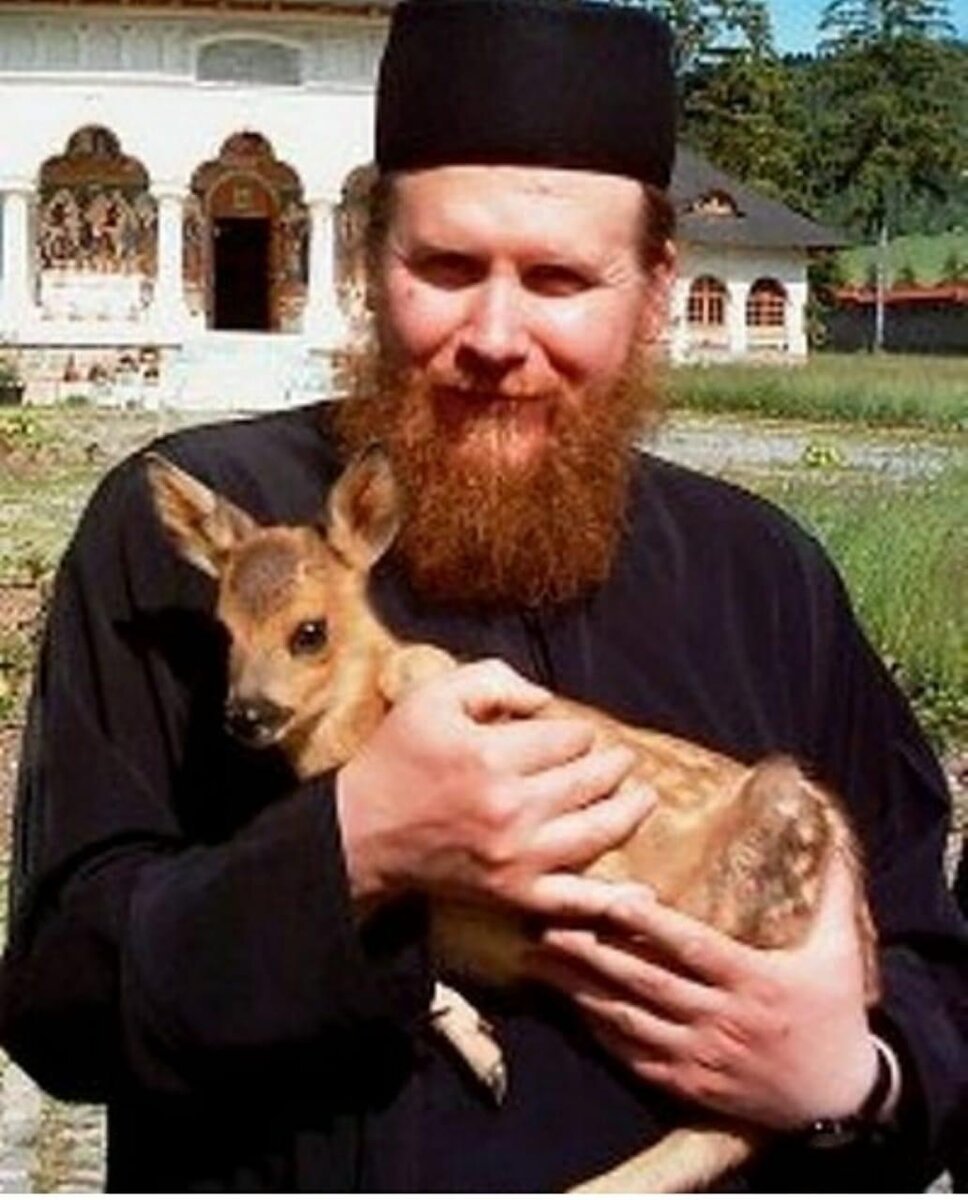 Собака в храме. Иеромонах сергий филиппов. Добро в православии. Православные животные. Старец григорий дохиар.