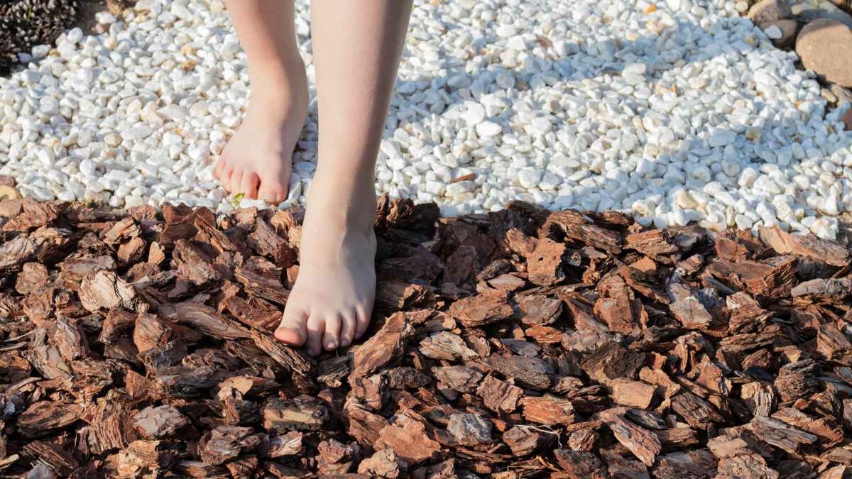 Какой материал для садовых дорожек лучше выбрать
При выборе материала  для устройства садовых дорожек следует учитывать сразу несколько  характеристик будущей дорожки. Она должна выглядеть эстетично, обладать  высокой прочностью и прослужить долгий срок.