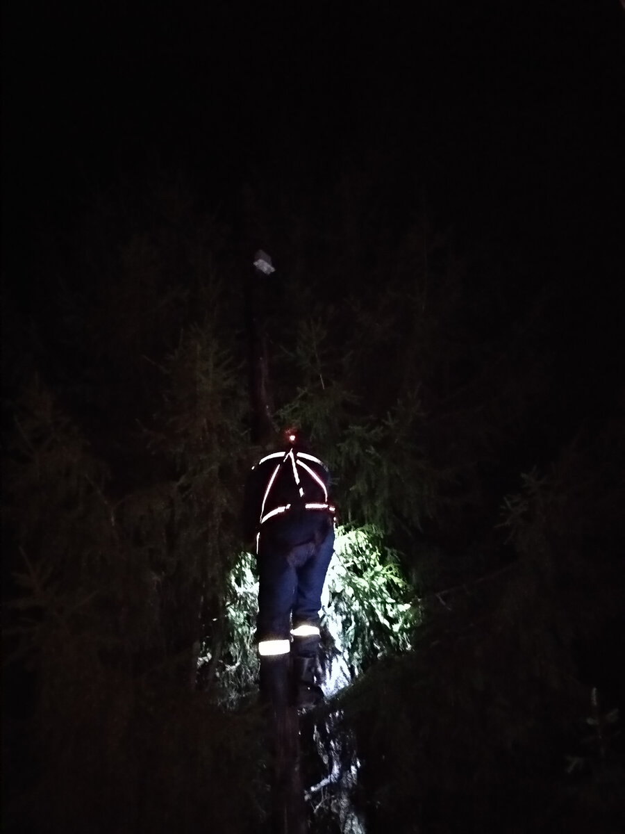 Счетчик смонтирован на самой верхушке столба - фото автора