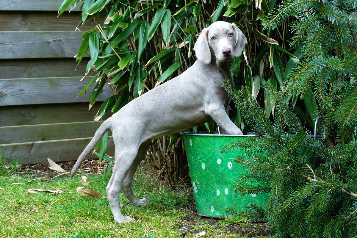 К новым привычкам человека адаптируется максимально быстро!