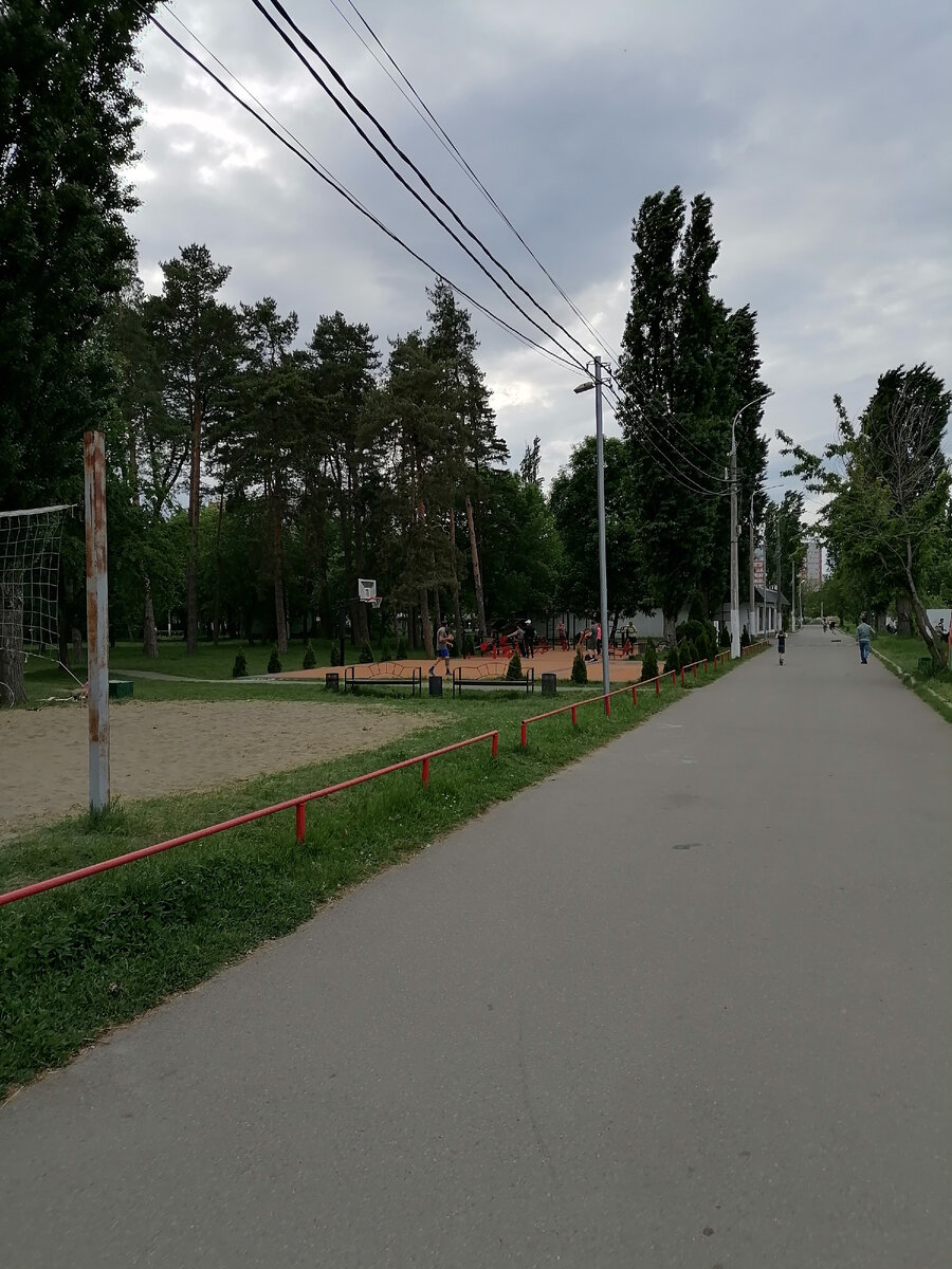 Дорожки в парке.
