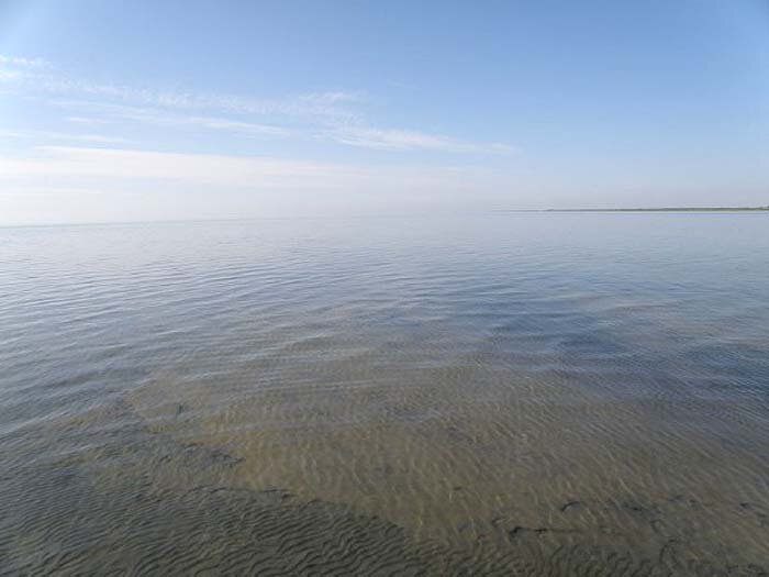 Кулундинское озеро алтайский
