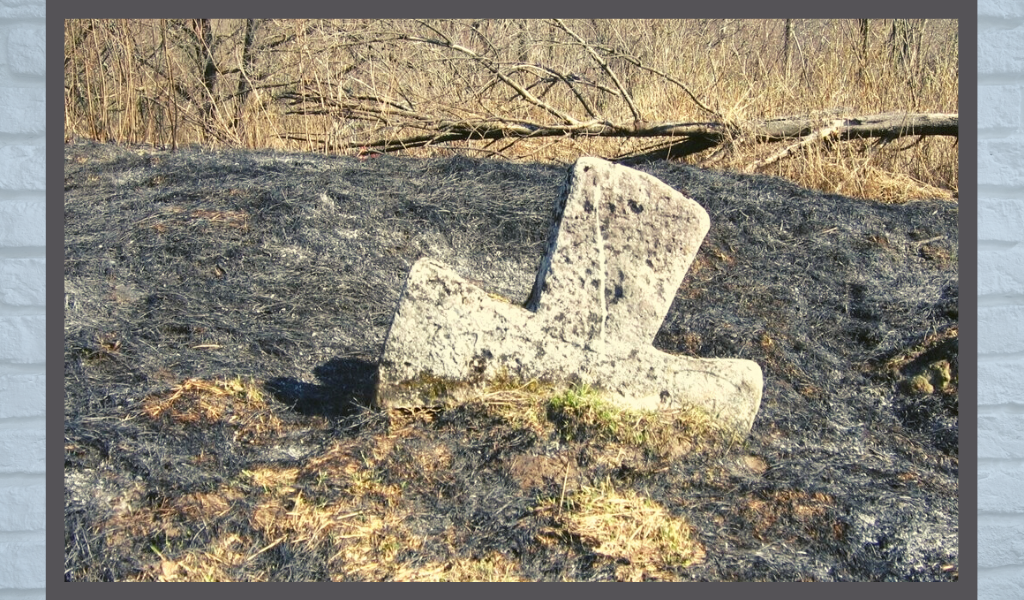 Растущие каменные кресты в белоруссии. Туровский крест растущий. Туровские каменные кресты в белоруссии. Каменные кресты турова. Кресты расти.